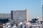 DSC_3711-2