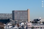 DSC_3712-2