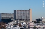 DSC_3713-2