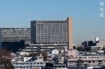 DSC_3715-2