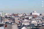 DSC_3717-2