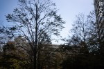 DSC01342