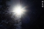 DSC01344