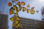DSC01351