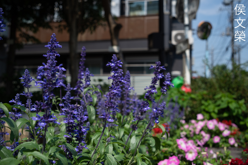 Repair: Asahi Super-Takumar 35mm f/3.5 | Richard Haw's Classic